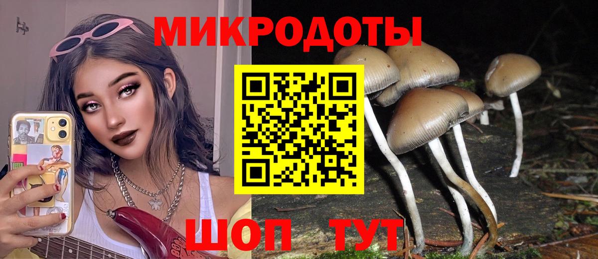Псилоцибиновые грибы ЛСД  Псилоцибиновые грибы ЛСД  Аша  Вход с VPN 